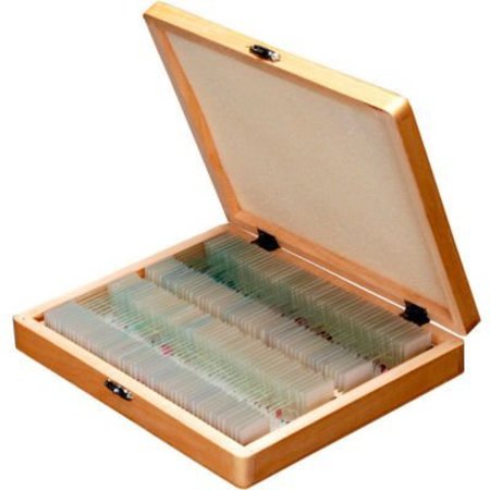 UNITED SCOPE LLC. AmScope 100 pc. Anatomy Botany Prepared Microscope Slides with Wooden Case PS100D